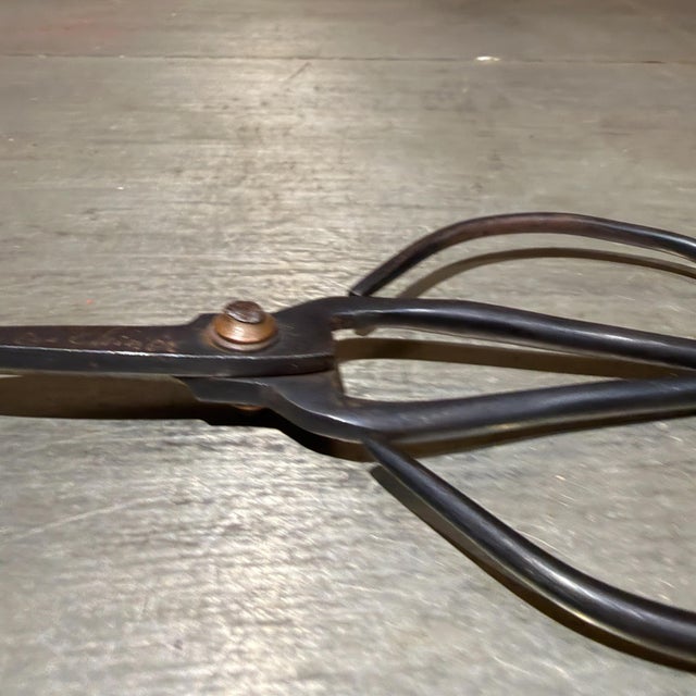 Traditional Pair of Forged Carbon Steel Loop-Handled Shears Chinese Bonsai For Sale - Image 11 of 15