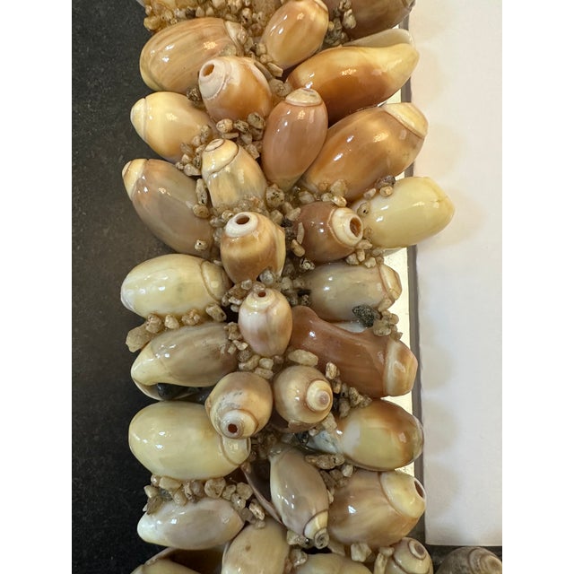 Mid 20th Century Vintage French Mid Century Seashell Wall Mirror For Sale - Image 5 of 12
