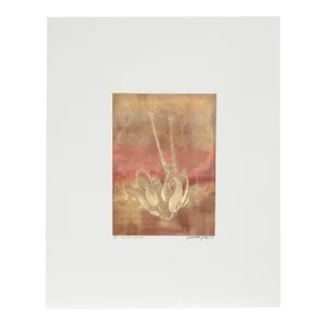 Tropical Flower 1, Jonathan Singer