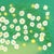 2020s Chamomile Flowers Contemporary Botanical Painting by Susan Havens For Sale - Image 5 of 5