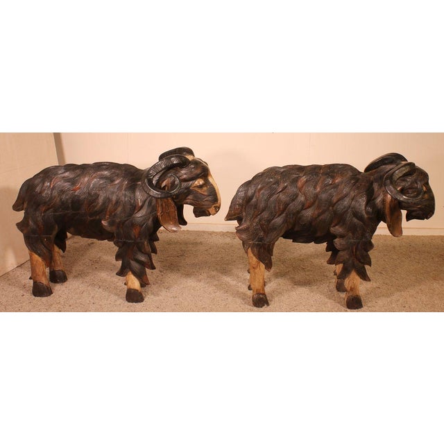 Scottish Rams in Polychrome Wood, 19-Century, Set of 2 For Sale - Image 5 of 18