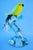 20th Century Sculpture of Parrot on Branch in Opaline Murano Glass attributed to Seguso Glassworks, Set of 2 For Sale - Image 8 of 18