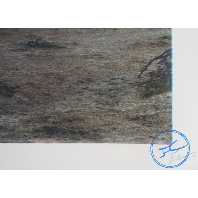 JR, Death Valley, 2021, Lithograph For Sale - Image 6 of 8