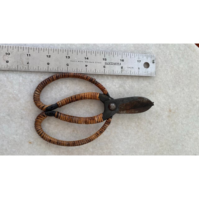 Antique Japanese Bonsai Pruning Shears For Sale - Image 4 of 5