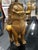 Vintage Hollywood Regency Foo Dog Coffee Table For Sale In Philadelphia - Image 6 of 9
