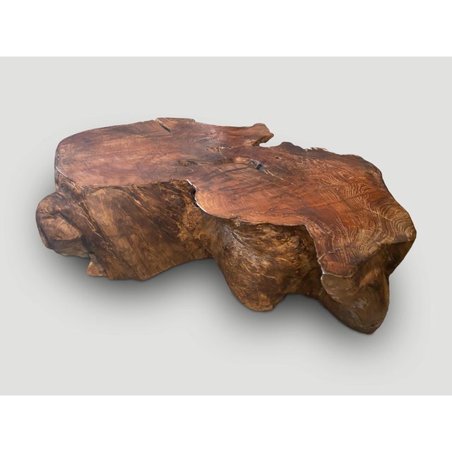 Brown Andrianna Shamaris Sculptural Teak Wood Coffee Table For Sale - Image 8 of 18