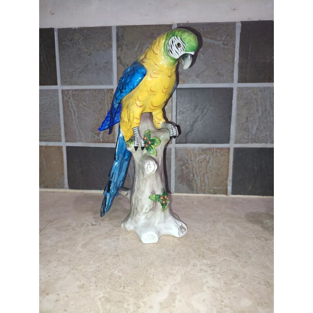 19thc Dresden Sitzendorf Louis XV Rococo Style Large Glazed Porcelain Sculpture of a Parrot - Signed For Sale - Image 10 of 10