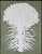 Sculpture Materials Mixed Media Quadriptych Basilius Beslers’ Lilium Cruentum Polyanthos in Gold Wood Frame For Sale - Image 7 of 12