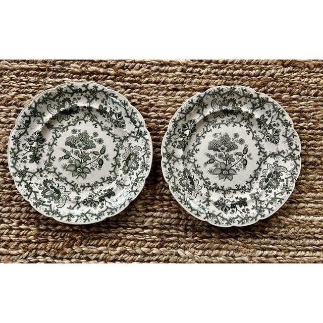 Ceramic Antique Wedgewood 'Coral Border' Green Transferware 10" Dinner Plates - Set of 12 For Sale - Image 7 of 14