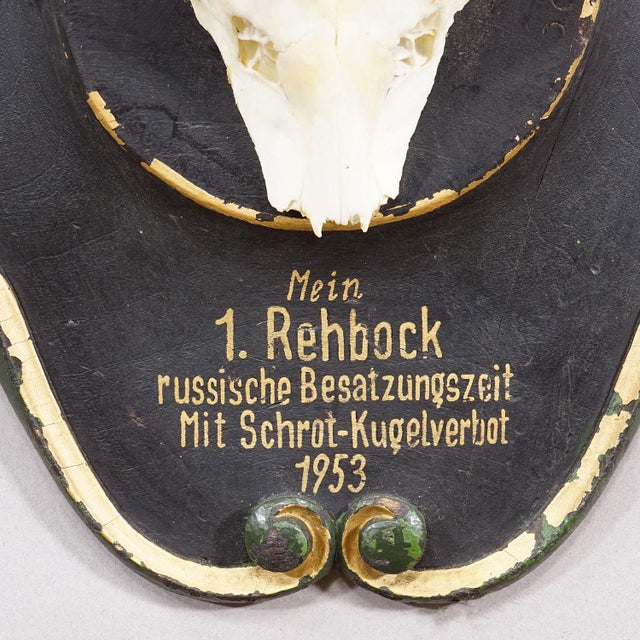 1950s Vintage Black Forest Red Deer Trophy on Wooden Plaque - Germany 1953 For Sale - Image 5 of 6