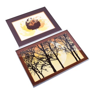 Pair 1970s Earth Tone Signed Limited Edition Prints With Trees and Leaves For Sale