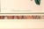 Antique Botanical Print of the "Surinam Centropogon" by Sir Joseph Paxton For Sale - Image 4 of 8