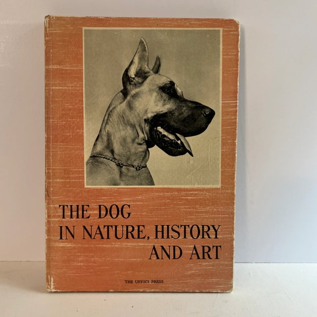1950s the Dog in Nature, History and Art Book For Sale - Image 12 of 12