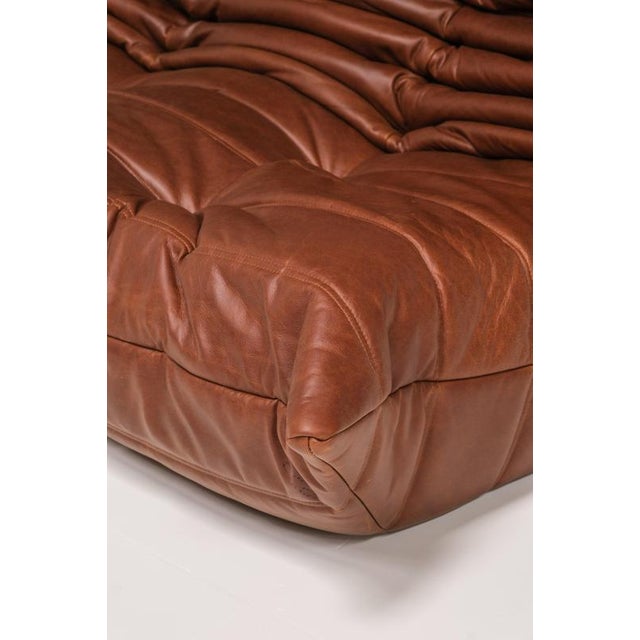Togo Three-Seater Sofa in Cognac Leather by Michel Ducaroy for Ligne Roset, France For Sale - Image 10 of 15
