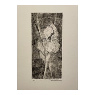 1990s David Baird Iris Mezzotint For Sale