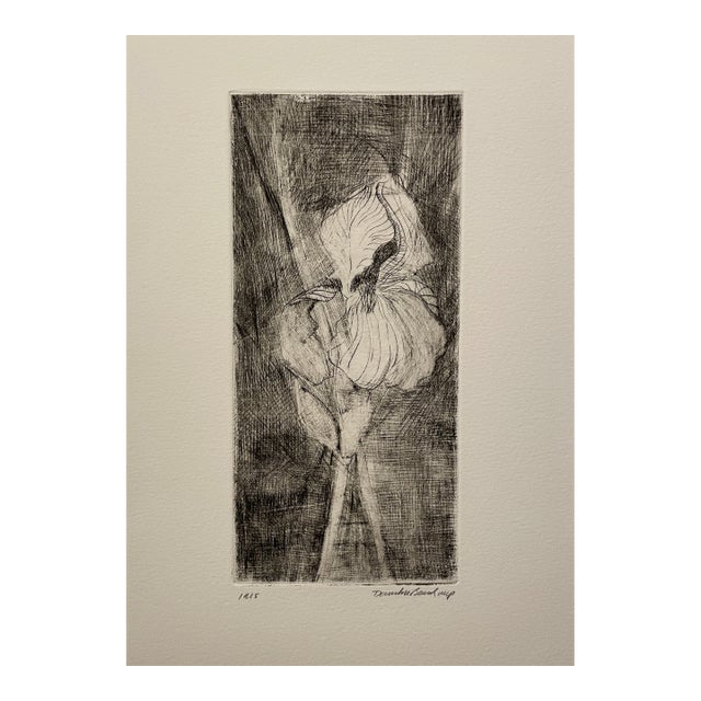 1990s David Baird Iris Mezzotint For Sale