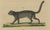 Paper Bertuch, Jaguar & Jaguarundi, 1813, Engraving For Sale - Image 7 of 9