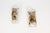 Vintage Murano Glass Wall Lamps from AV Mazzega, 1970s, Set of 2 For Sale - Image 3 of 9