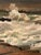 Realism Crashing Waves Original Oil Seascape Painting by David Beynon Pena For Sale - Image 3 of 5