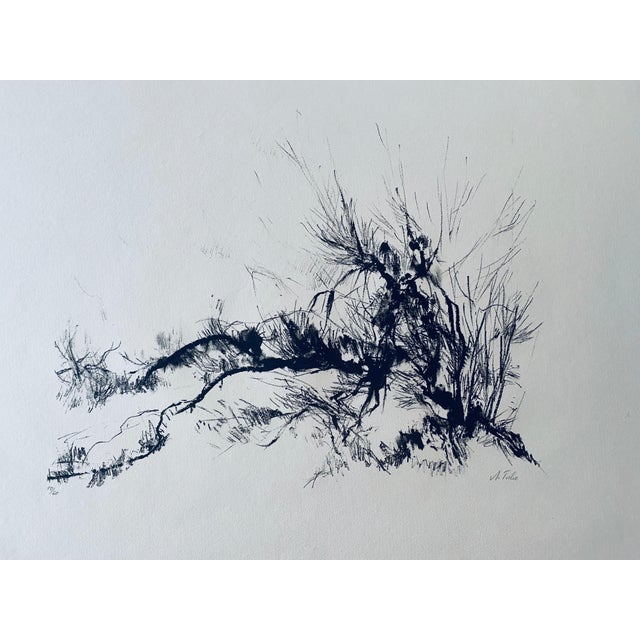 Expressionism Anna Ticho, German Israeli Expressionist Abstract Bush in Judea Lithograph For Sale - Image 3 of 8