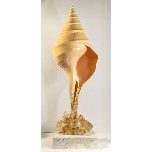 Glass Vintage Large One of a Kind Sea Shell and Citrine Crystal by Joseph Malekan For Sale - Image 7 of 11