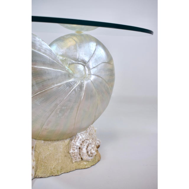 Monumental Nautilus Shell Coffee or Side Table For Sale - Image 9 of 11