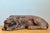 Vintage Hand Carved Lion For Sale - Image 12 of 12