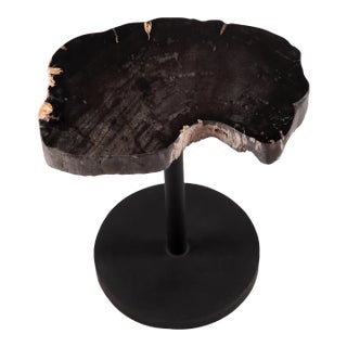 Living Edge Petrified Wood Top W Black Metal Stand Accent Table or Side Table 54 For Sale