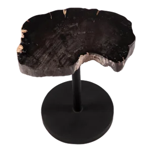 Living Edge Petrified Wood Top W Black Metal Stand Accent Table or Side Table 54