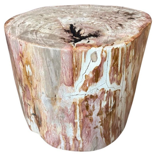 Andrianna Shamaris Coral Toned High Quality Petrified Wood Side Table For Sale - Image 15 of 18