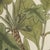Bertuch, Ipecacuanha and Contrayerva Medicinal Roots, 1812, Print For Sale - Image 6 of 12