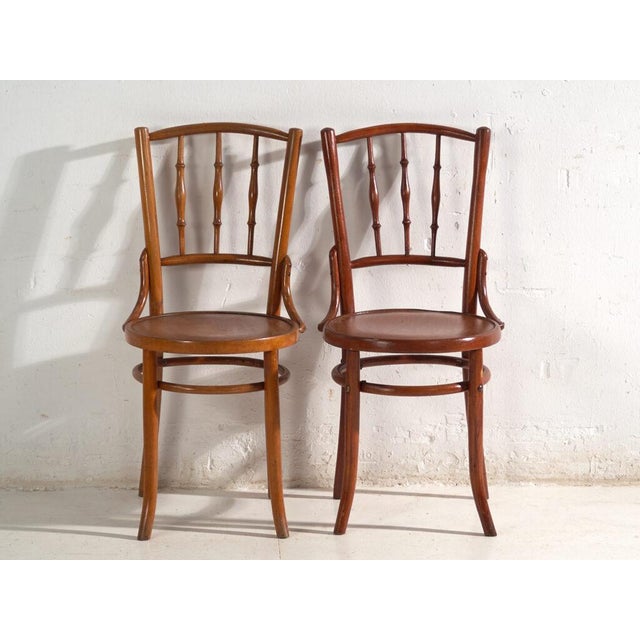 Bentwood Chairs in the style of Thonet, Central Europe, 1930, Set of 4 For Sale - Image 12 of 17