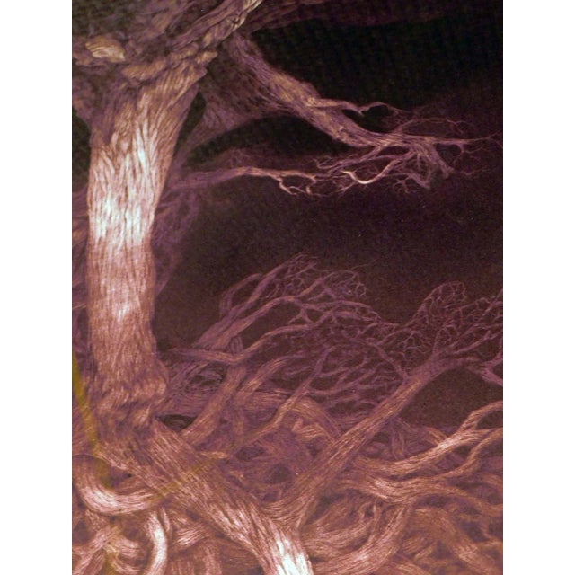 g.h Rothe "Shelter" Artwork Tree Framed Hand Signed Limited Edition Paper For Sale In Denver - Image 6 of 7