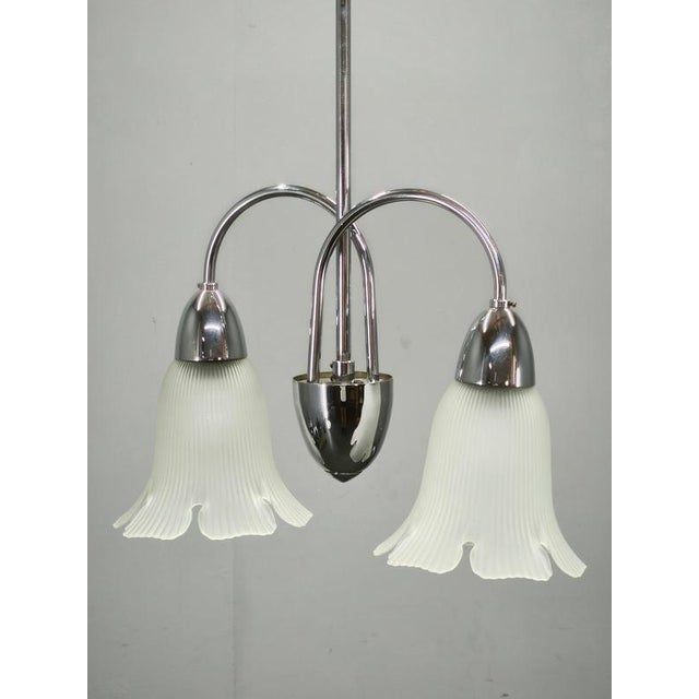 Vintage Pendant Light in Chrome and Floral Glass by Elektroinstala Děčín, 1950s For Sale - Image 13 of 14