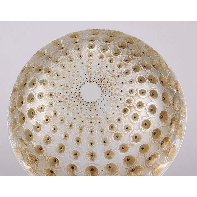 Nemours Bowl by Rene Lalique, 1929 For Sale - Image 4 of 5