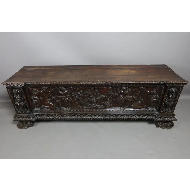 Walnut 19th Century Walnut Cassone Chest For Sale - Image 9 of 12