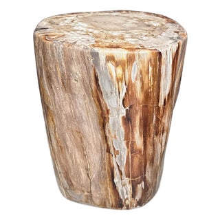Andrianna Shamaris Coral Toned High Quality Petrified Wood Side Table For Sale
