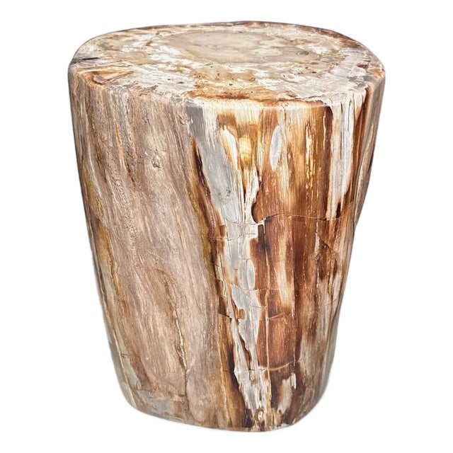 Andrianna Shamaris Coral Toned High Quality Petrified Wood Side Table For Sale
