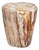 Andrianna Shamaris Coral Toned High Quality Petrified Wood Side Table For Sale