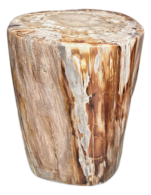 Andrianna Shamaris Coral Toned High Quality Petrified Wood Side Table