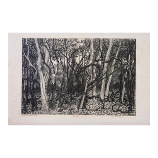 Mid 20th Century Janet Turner Original Lithograph · Entanglement · Signed · Edition 2/25 For Sale