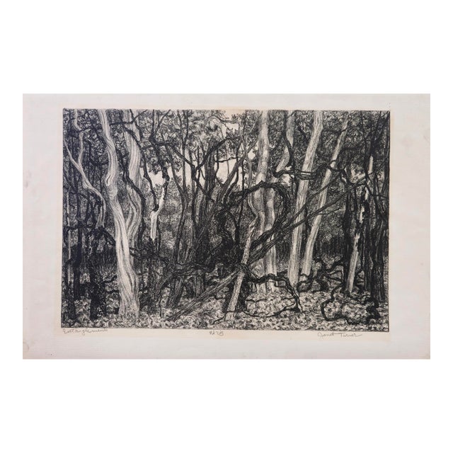Mid 20th Century Janet Turner Original Lithograph · Entanglement · Signed · Edition 2/25 For Sale