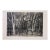 Mid 20th Century Janet Turner Original Lithograph · Entanglement · Signed · Edition 2/25 For Sale