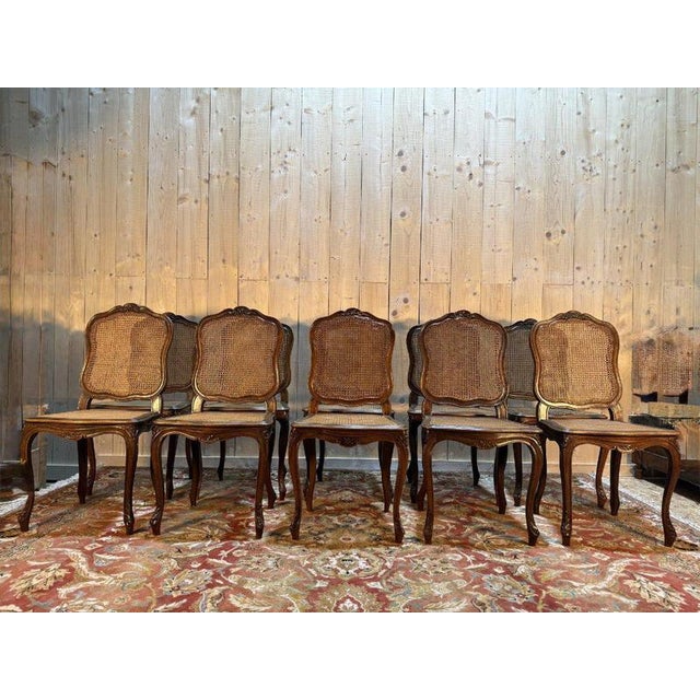 Louis XV Style Chairs in Walnut and Caning, Set of 10 For Sale - Image 4 of 13