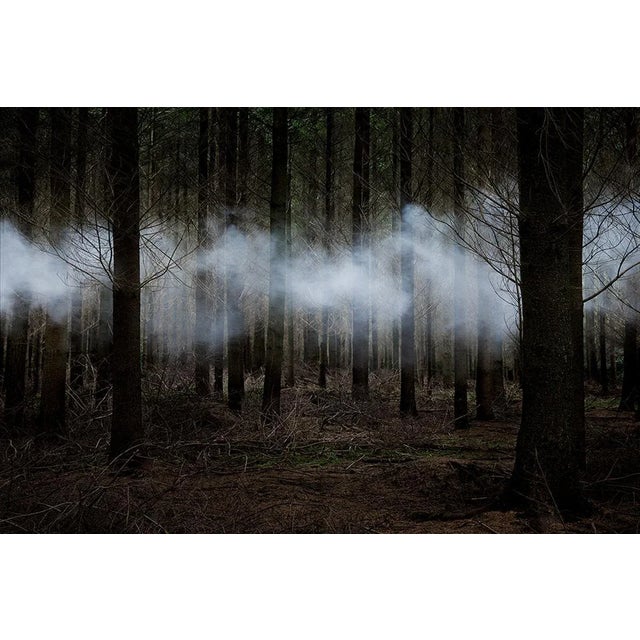 Between the Trees 6 is a Digital C-Type Print on Fuji Maxima Matte paper, available in this size from a Limited Edition of...