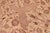 Shabby Chic 1990's Agra Pak-Persian Tan/Red Wool Rug - 8'2'' X 10'4'' For Sale In New York - Image 6 of 9