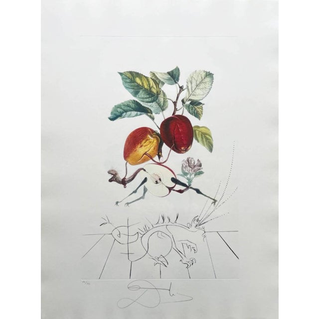 Salvador Dali, Dragon Apple from Flordali Suite, 1969, Lithograph with Drypoint Etching, in Flawless conditions. Designed...