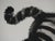 Laszlo Tibay, The Cat's Eyes, Ink and Wash For Sale - Image 4 of 9