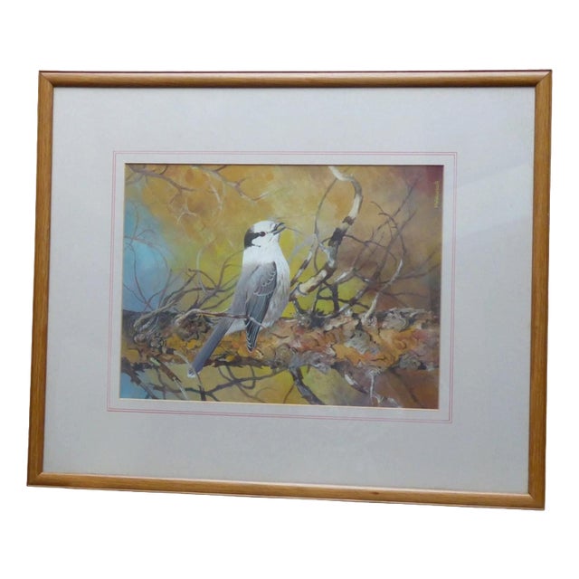 Michael Woodcock, Grey Jay, Wildlife Study, 1980s, Watercolour For Sale