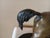Mid 19th Century Bronze Pj Mene Arab Mare With Saddle and Rifle Sculpture For Sale - Image 9 of 16